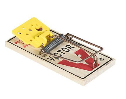 Victor Easy Set Mouse Trap, 2 Traps Online now